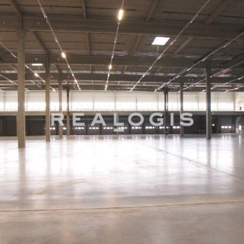 Ca. 15.000 qm Lager- / Logistikfläche | Rampe + ebenerdig | ca. 10,00 m UKB