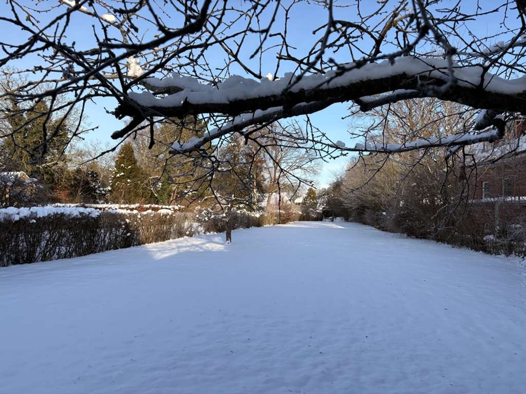 Immobilie in Großhansdorf - Viel Platz und Potential auf traumhaftem Grundstück - vorne Stadt - hinten Land - Natur pur! - Bild 3