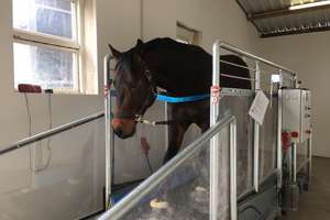 Reitanlage auf 11,5 ha zu verkaufen – Die vollständige Adresse der Immobilie erhältst du vom Anbieter., 51399 Burscheid – Vorschaubild 13