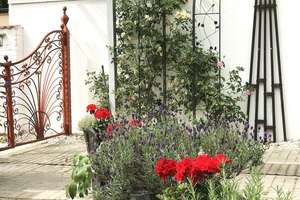 Property thumbnail 1