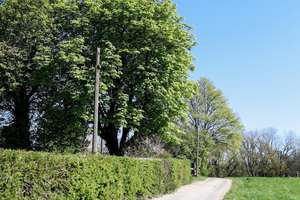 Property thumbnail 13