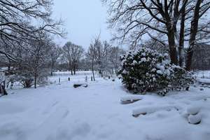 Property thumbnail 25