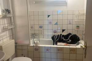 Charmantes Raumwunder im Hopfengarten! Sofort bezugsfreies Einfamilienhaus mit viel Potenzial – Die vollständige Adresse der Immobilie erhältst du vom Anbieter., 39120 Hopfengarten, Magdeburg – Vorschaubild 12
