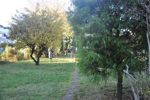 Property thumbnail 15