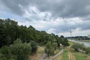 Den goldenen Herbst am Neckar genießen – mit großer Terrasse & Garten – 68167 Neckarstadt-Ost/Wohlgelegen, Mannheim – Vorschaubild 7