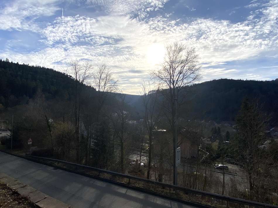 Ausblick