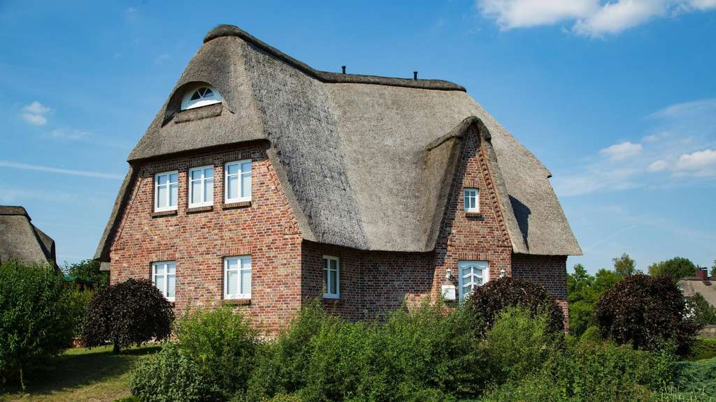 Immobilie in Glückstadt - Reetgedecktes Warfthaus mit Elbblick in traumhafter Lage - Bild 2