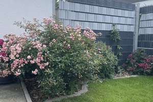 Los geht´s - Bungalow für Weltenbummler: Geräumig mit Minigarten – Die vollständige Adresse der Immobilie erhältst du vom Anbieter., 38442 Sülfeld, Wolfsburg – Vorschaubild 2