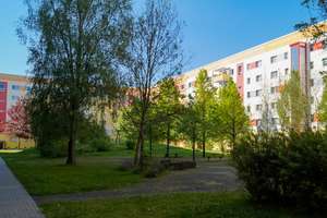Sommer 2026 - Umzug gewünscht? Frisch renovierte 2-Raum Wohnung mit Balkon und Aufzug! – Pfaffensteinstraße 11, 4207 Lausen-Grünau, Leipzig – Vorschaubild 6