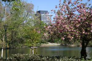 Kö-Bogen-Wohnen, möblierte 1-Zimmer-Wohnung am Hofgarten in Düsseldorf        