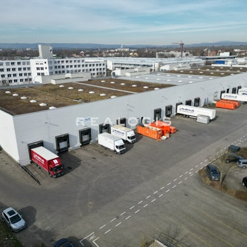 Lager- / Logistikflächen - 8,50 m UKB - 6x Rampe