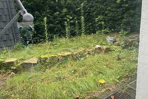 *  2,5 Zimmer Wohnung mit eigenem Garten Nutzung  in Bochum ! – Hattinger Str 743A, 44879 Bochum – Vorschaubild 8