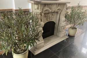 Traumhafte 3 -Zi-Kamin-WE mit sehr  großer Sonnenterrasse , Stellplatz direkt vor dem Haus – Potsdamer Strasse 172, 14469 Bornstedt, Potsdam – Vorschaubild 8