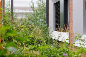 Private studio in Münster Coliving | POHA House – 48155 Hansaplatz, Münster – Vorschaubild 50