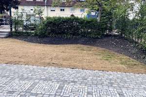 Vier extrem außergewöhnliche Wohnungen in kernsaniertem Fachwerkhaus - Wohnung 2 – Schloßstr. 6, 33104 Schloß Neuhaus, Paderborn – Vorschaubild 8
