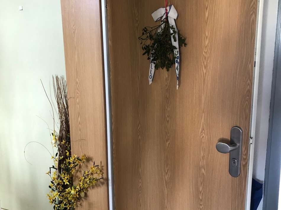 EINGANGSTUER