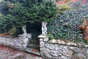 Wohnen wie in den Bergen - Schönes Haus mit Blick und großem Garten in Saal an der Donau – Die vollständige Adresse der Immobilie erhältst du vom Anbieter., 93342 Saal an der Donau – Vorschaubild 2