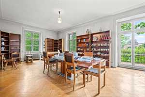 Denkmalgeschützte Villa in Seenähe im Dornröschenschlaf – Konstanz (Kreis) – Vorschaubild 13