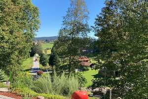 Naturpark Bayerischer Wald: Großes Landhaus m. Nebengebäuden u. ca. 8000 m² parkähnlichen Grundstück – Regen (Kreis) – Vorschaubild 13