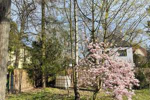 Property thumbnail 19