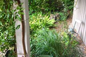 Exkl. Ferienimmobilie in 79263 Simonswald: 2 Traumhäuser in Toplage mit Garten im Schwarzwald – Emmendingen (Kreis) – Vorschaubild 59