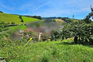 Einfamilienhaus mit Wiese + Scheune und kl.Stall – Odenwaldkreis – Vorschaubild 21