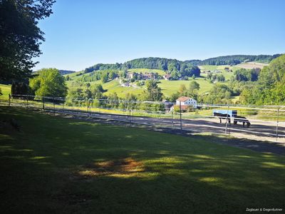 Anwesen mit 3 Wohnungen, 12 Pferdeboxen und ca. 2,95 ha Grund - sehr gepflegt - Nähe Schönberg - zus