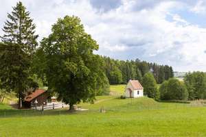 Bauernhaus/Bauernhof kaufen im Allgäu, absolute Alleinlage mit ca. 11 Hektar Wiesen für Mensch & Tie – Die vollständige Adresse der Immobilie erhältst du vom Anbieter., 87739 Breitenbrunn – Vorschaubild 19