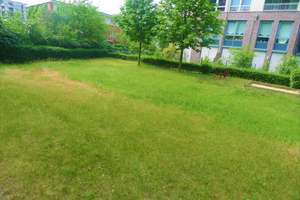LAKEFRONT PENTHOUSE - PLATZLAGE AM ENGELBECKEN - 3 TERRASSEN - 7. OG / LIFT - GARTEN - TIEFGARAGE – Die vollständige Adresse der Immobilie erhältst du vom Anbieter., 10719 Mitte (Ortsteil), Berlin – Vorschaubild 13