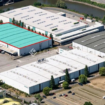 Provisionsfrei! ab 1.1.2026 - 8.150 m² Lagerhalle in direkter Nähe zu dem Hamburger Hafen verfügbar!