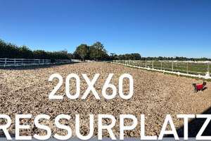 Reitanlage mit Halle und zwei Reitplätzen zu verkaufen – Die vollständige Adresse der Immobilie erhältst du vom Anbieter., 27612 Loxstedt – Vorschaubild 7