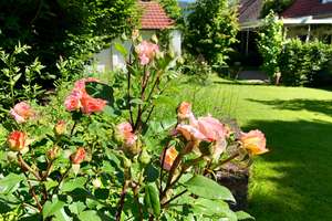 Schönes großzügiges Wohnhaus in 
73635 Rudersberg zu vermieten  – Die vollständige Adresse der Immobilie erhältst du vom Anbieter., 73635 Rudersberg – Vorschaubild 1