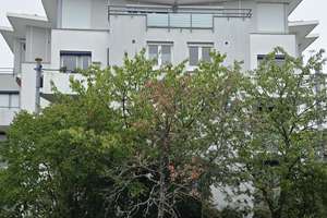 Bezugsfreie 2-Zimmer-Wohnung mit Aufzug und Balkon in Reutlingen Hohbuch – 72762 Reutlingen-Mitte, Reutlingen – Vorschaubild 15