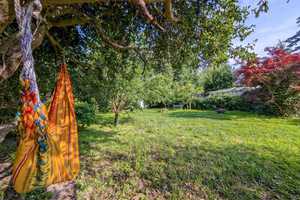 Idyllisches Freizeitgrundstück mit schickem Tinyhaus und Platz für mehr! – Berlin – Vorschaubild 14