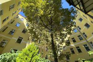 Helle Dachgeschosswohnung mit West- u. Südausrichtung – Reuchlinstraße 2a, 10553 Berlin – Vorschaubild 5