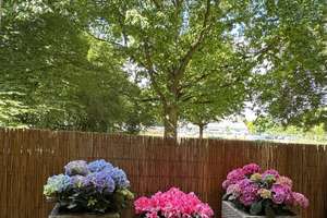 All-in & Möbliert: 1-Zi-Apartment (40m²) mit Balkon zur ZW – Einziehen & Wohlfühlen