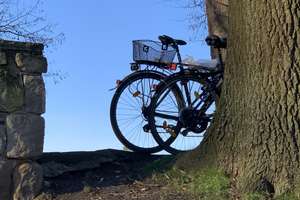 PROMENADENLAGE im X-Viertel – Die vollständige Adresse der Immobilie erhältst du vom Anbieter., 48147 Kreuz, Münster – Vorschaubild 1