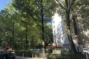 Kapitalanlage mit Wohlfühlfaktor: Modernisierte 1-Zimmer-Wohnung mit Balkon am Waldrand – 63069 Vorderwald-Rosenhöhe, Offenbach am Main – Vorschaubild 17