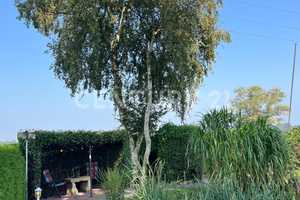 +KOPER GEVONDEN+Paradijs op dromerige 2267m² oppervlakte direct aan de NL grens! – Emsland (Kreis) – Vorschaubild 29