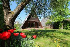 Charmantes Nurdachhaus mit Ausbaupotenzial in ruhiger Lage von Thalham – Freising (Kreis) – Vorschaubild 17