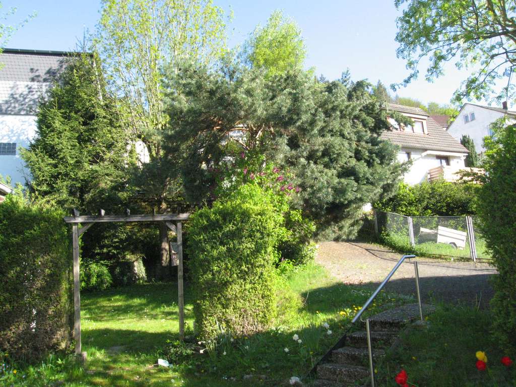 Immobilie in Bad Schwalbach - Bad Schwalbach Innenstadt, MFH mit 5 Wohneinheiten, großer und ruhiger Garten und 2 Einzelgaragen - Bild 4