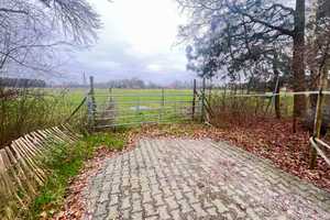 "Idyllischer Resthof in Alleinlage: Tolles Anwesen mit Hofladen, Reitplatz! – Emsland (Kreis) – Vorschaubild 21