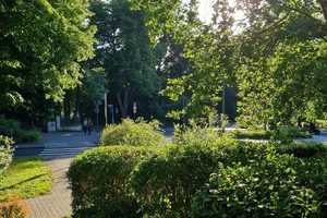 Ein Katzensprung zum Kurpark...PREISREDUZIERUNG...... 3-ZI-Eigentumswohnung provisionsfrei ! – Wiesbaden – Vorschaubild 5