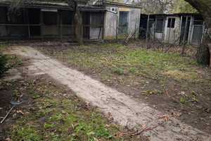Letzte Chance auf PROVISIONSFREIES Einfamilienhaus – Dorfstraße 15, 16837 Ostprignitz-Ruppin (Kreis) – Vorschaubild 9