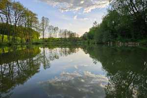 Luxus und Freizeitparadies auf über 2600 m² – Neckar-Odenwald-Kreis – Vorschaubild 22