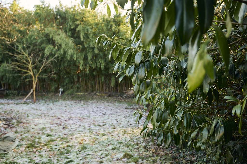 Immobilie in Schwanewede - SCHWANEWEDE / Raumwunder // voll ausgebauter Bungalow mit Wohnkeller auf 1000 qm  // ruhige Lage - Bild 3