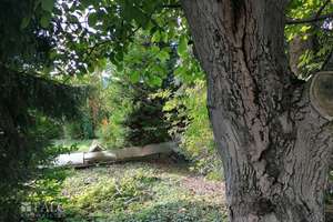 Gemütliches Wohnhaus in Holzbauart mit schönem Garten – Die vollständige Adresse der Immobilie erhältst du vom Anbieter., 63607 Wächtersbach – Vorschaubild 17