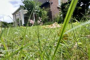 "Traumhaus in Nettetal: Hochwertige Eleganz auf Erbpachtgrundstück" – Die vollständige Adresse der Immobilie erhältst du vom Anbieter., 41334 Nettetal – Vorschaubild 30