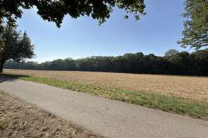 Wohnen im Grünen: Großzügiges Raumwunder mit Südblick, 2 Einliegerwohnungen und Sofort-Mieteinnahmen – Die vollständige Adresse der Immobilie erhältst du vom Anbieter., 89075 Böfingen, Ulm – Vorschaubild 5
