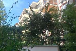 * WOHNEN NAHE SCHLOßSTRAßE: REPRÄSENTATIVER NEUBAU MIT EINBAUKÜCHE, PARKETT, BALKON & 2 BÄDERN! * – 12163 Steglitz, Berlin – Vorschaubild 13